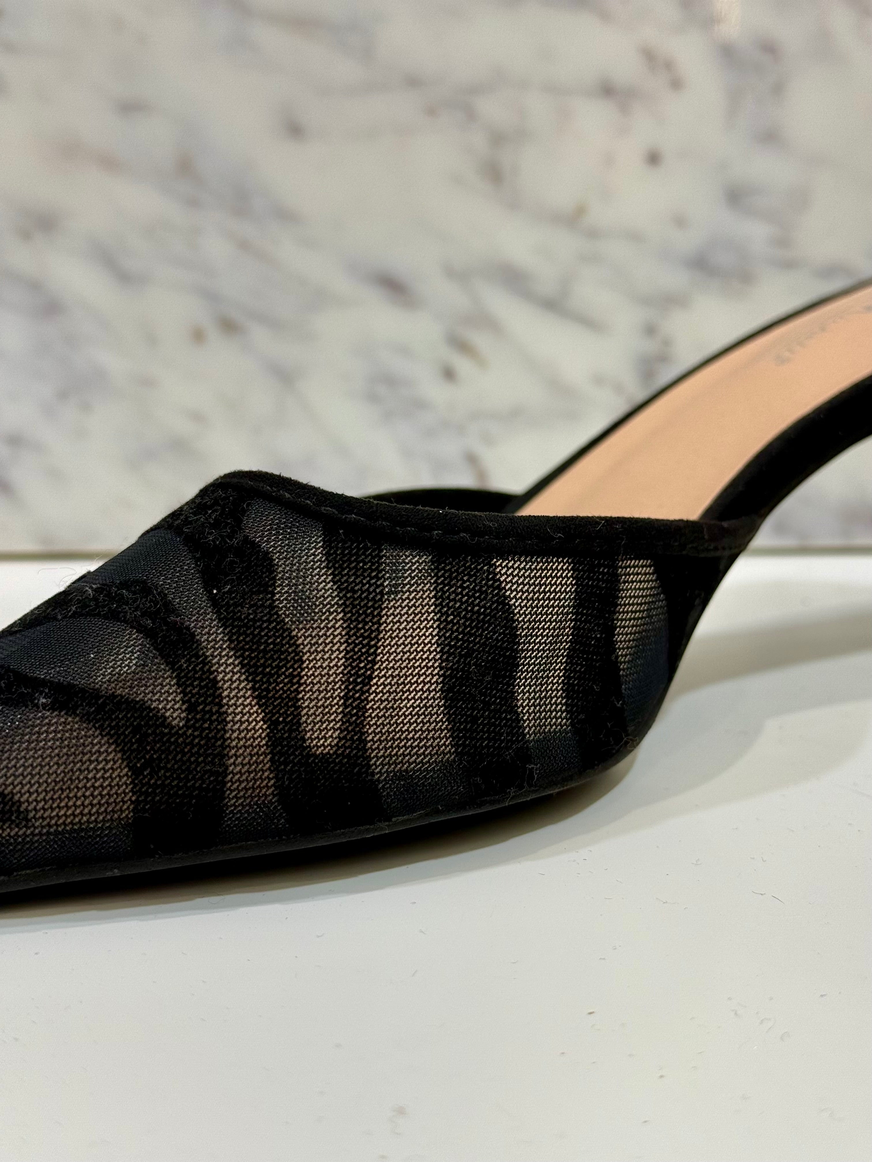 SCARLET-14 - kailier