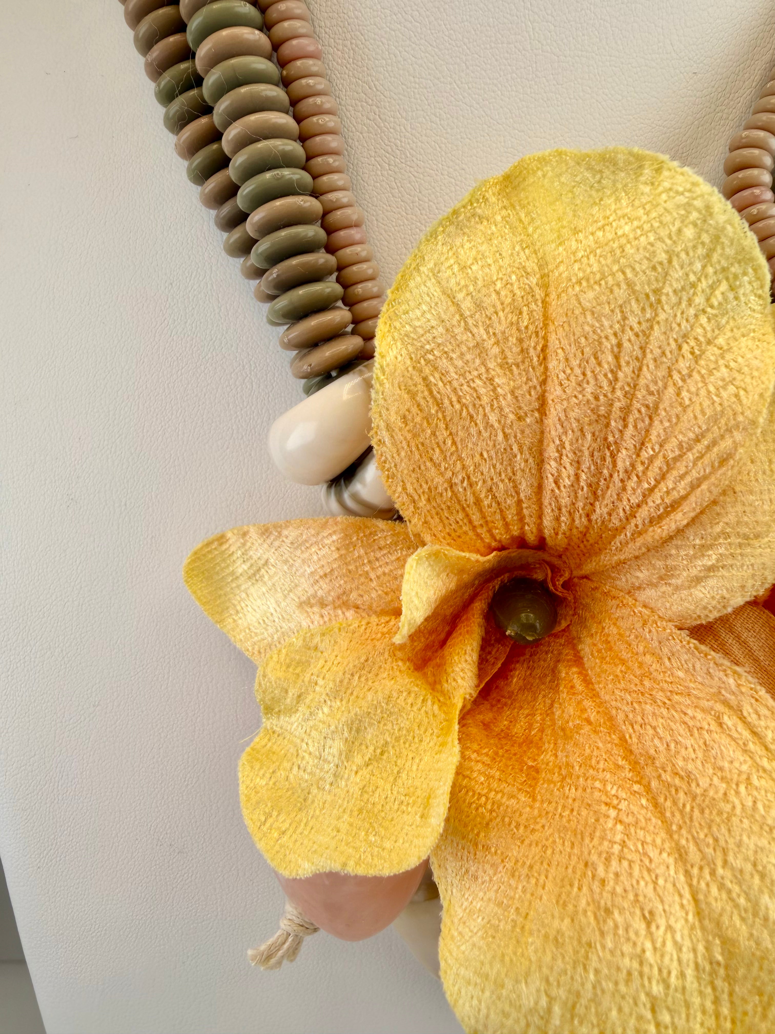 ORCHID - kailier